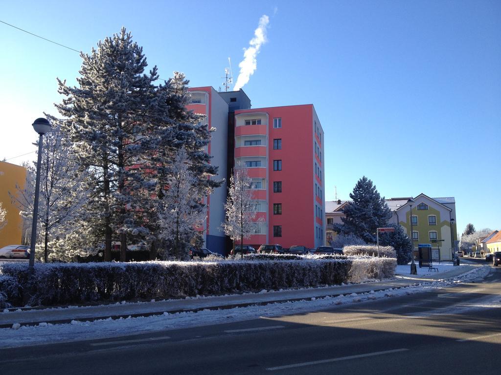 Apartman Sportovni Apartment Třeboň Екстериор снимка